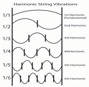 String Harmonics